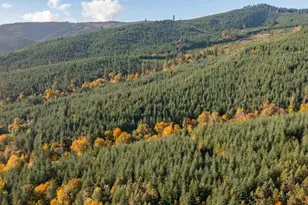 17925 Brown Rd, Dallas, OR 97338 - Photo 13