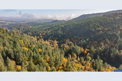 17925 Brown Rd, Dallas, OR 97338 - Photo 15