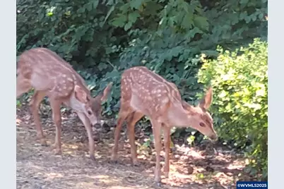 8372 Enchanted (#107) Wy SE, Turner, OR 97392 - Photo 43