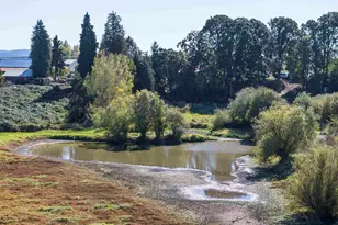 19800 SW Briedwell Rd, McMinnville, OR 97128 - Photo 29