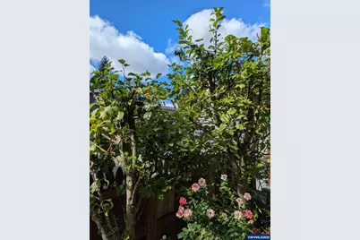 9700 SW Tualatin #5 Rd, Tualatin, OR 97062 - Photo 35