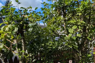 9700 SW Tualatin #5 Rd, Tualatin, OR 97062 - Photo 35