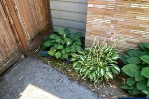 936 Kingwood Dr NW, Salem, OR 97304 - Photo 47