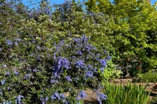 936 Kingwood Dr NW, Salem, OR 97304 - Photo 37