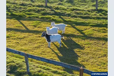 38742 Scravel Hill Rd NE, Albany, OR 97322 - Photo 47