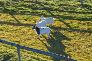 38742 Scravel Hill Rd NE, Albany, OR 97322 - Photo 47