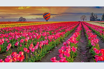 2219 Sawtelle Dr, Woodburn, OR 97071 - Photo 39