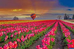 2219 Sawtelle Dr, Woodburn, OR 97071 - Photo 39