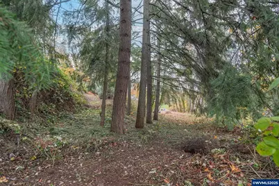 3047 Wallace Rd NW, Salem, OR 97304 - Photo 7