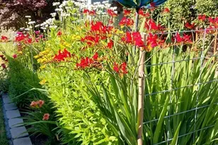 1725 24th St NE, Salem, OR 97301 - Photo 39