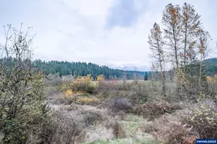 32981 Mt Pleasant Rd, Lebanon, OR 97355 - Photo 27