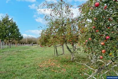 4904 Springhill Dr NW, Albany, OR 97321 - Photo 29