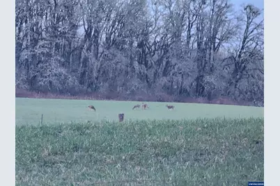 24088 SW Highway 18 Hwy, Sheridan, OR 97378 - Photo 45