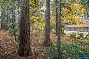 14828 SW 109th Ave, Tigard, OR 97224 - Photo 37