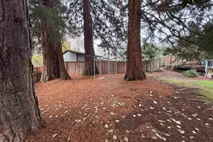 890 Alvina St SE, Salem, OR 97306 - Photo 49