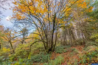 6000 River Rd S, Salem, OR 97302 - Photo 39