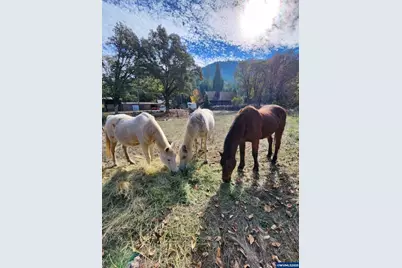 9740 Upper Olalla Rd, Winston, OR 97496 - Photo 27