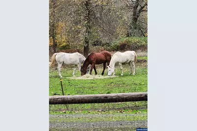 9740 Upper Olalla Rd, Winston, OR 97496 - Photo 25