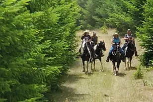 9740 Upper Olalla Rd, Winston, OR 97496 - Photo 23