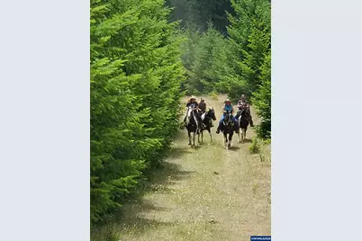 9740 Upper Olalla Rd, Winston, OR 97496 - Photo 25