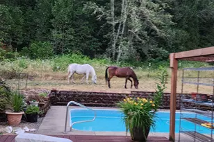 9740 Upper Olalla Rd, Winston, OR 97496 - Photo 29