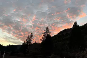 9740 Upper Olalla Rd, Winston, OR 97496 - Photo 39