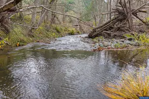 9740 Upper Olalla Rd, Winston, OR 97496 - Photo 19