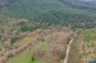 9740 Upper Olalla Rd, Winston, OR 97496 - Photo 37