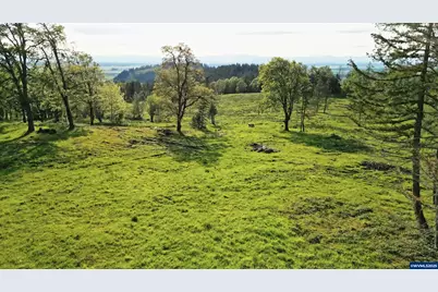 Lot 1 Dr, Harrisburg, OR 97446 - Photo 3