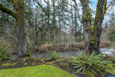 16695 Dancing Fox Ln, Silverton, OR 97381 - Photo 43