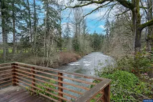 16695 Dancing Fox Ln, Silverton, OR 97381 - Photo 39