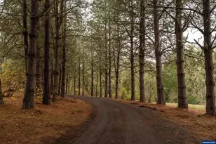 6613 SW West Hills Rd, Corvallis, OR 97333 - Photo 31