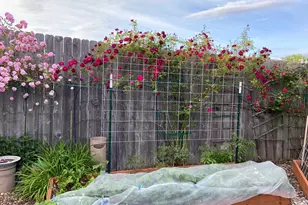 961 NW Ironwood Ave, Corvallis, OR 97330 - Photo 45