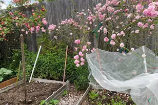 961 NW Ironwood Ave, Corvallis, OR 97330 - Photo 47