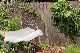 961 NW Ironwood Ave, Corvallis, OR 97330 - Photo 49