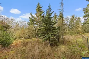 1782 Cole Rd S, Salem, OR 97306 - Photo 43