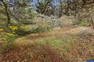 1782 Cole Rd S, Salem, OR 97306 - Photo 41