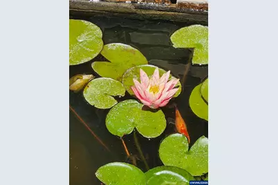 15924 Jackpine Rd, La Pine, OR 97739 - Photo 45