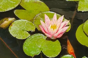 15924 Jackpine Rd, La Pine, OR 97739 - Photo 45