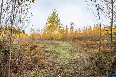 2535 Liberty Rd, Dallas, OR 97338 - Photo 35