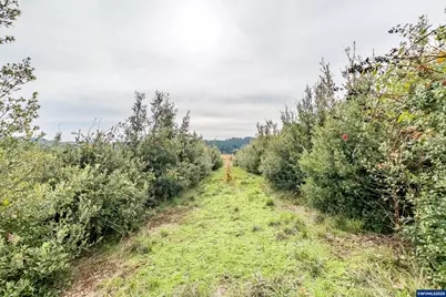 2535 Liberty Rd, Dallas, OR 97338 - Photo 19