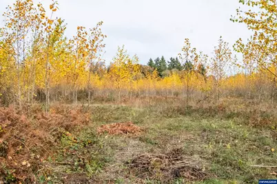 2535 Liberty Rd, Dallas, OR 97338 - Photo 33