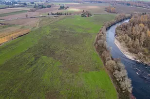 95949 99E Hwy, Harrisburg, OR 97446 - Photo 5