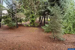 3060 Camellia Dr S, Salem, OR 97302 - Photo 49