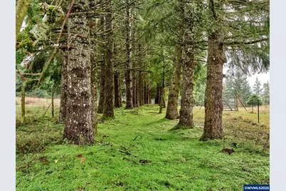 20788 Hazelnut Ridge Rd NE, Scotts Mills, OR 97375 - Photo 33