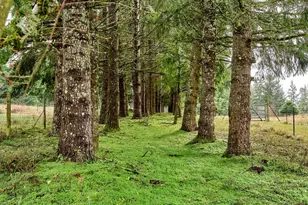 20788 Hazelnut Ridge Rd NE, Scotts Mills, OR 97375 - Photo 33