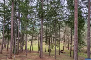 32583 Bellinger Scale Rd, Lebanon, OR 97355 - Photo 47