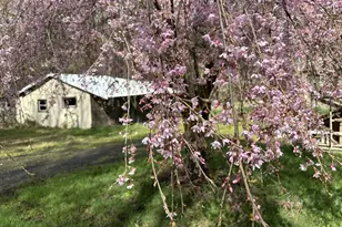 26622 Fudge Rd, Alsea, OR 97324 - Photo 21