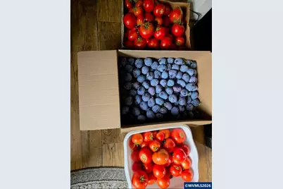 2723 Oakland Lp SE, Salem, OR 97317 - Photo 31