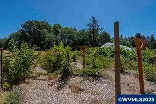 42111 Hwy 226 Hwy, Scio, OR 97374 - Photo 23